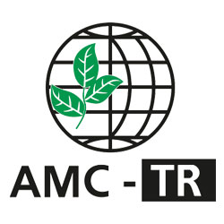 AMC